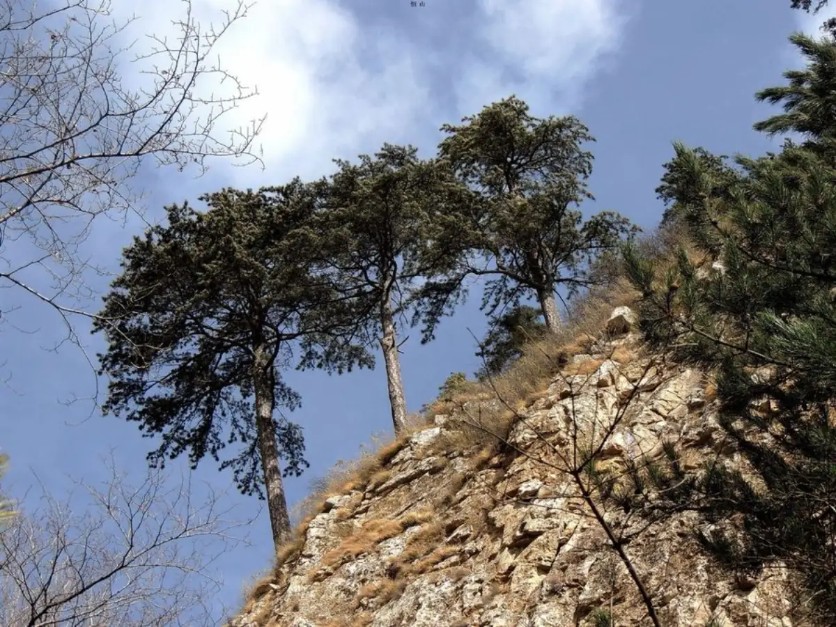 Mount Wutai Guide 2026: Shanxi's Sacred Buddhist Mountain