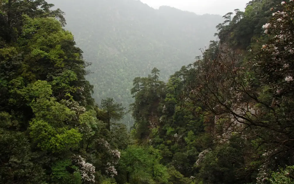 Jinggangshan Scenery, Jiangxi
