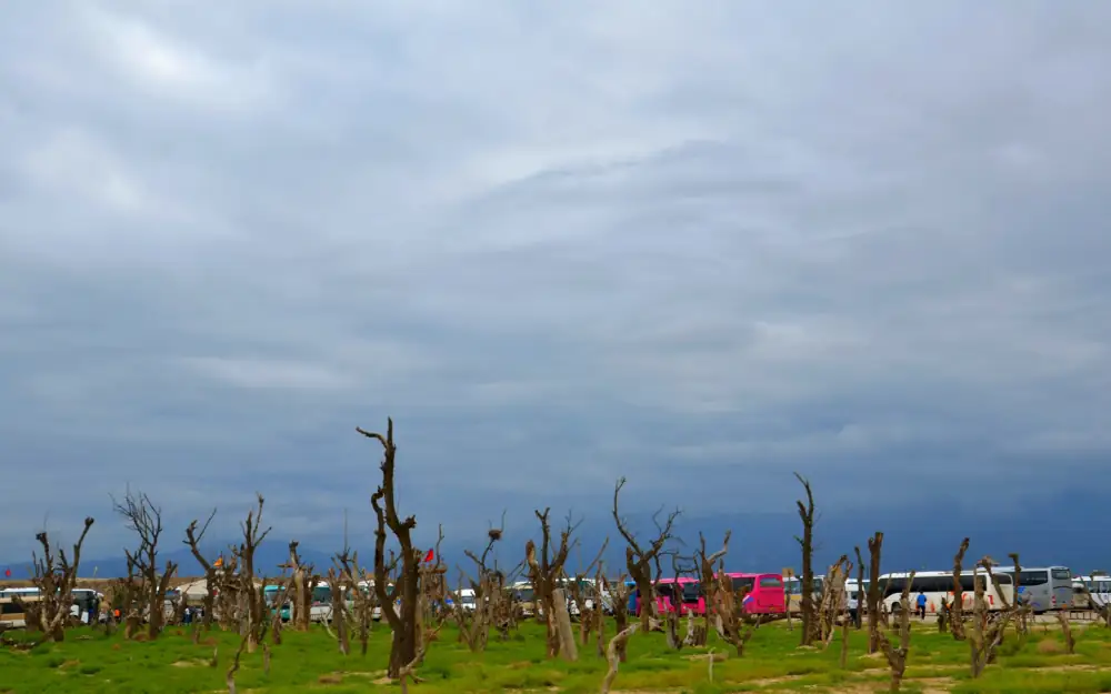 Zhenbeibaoyingshi City Scenery, Ningxia