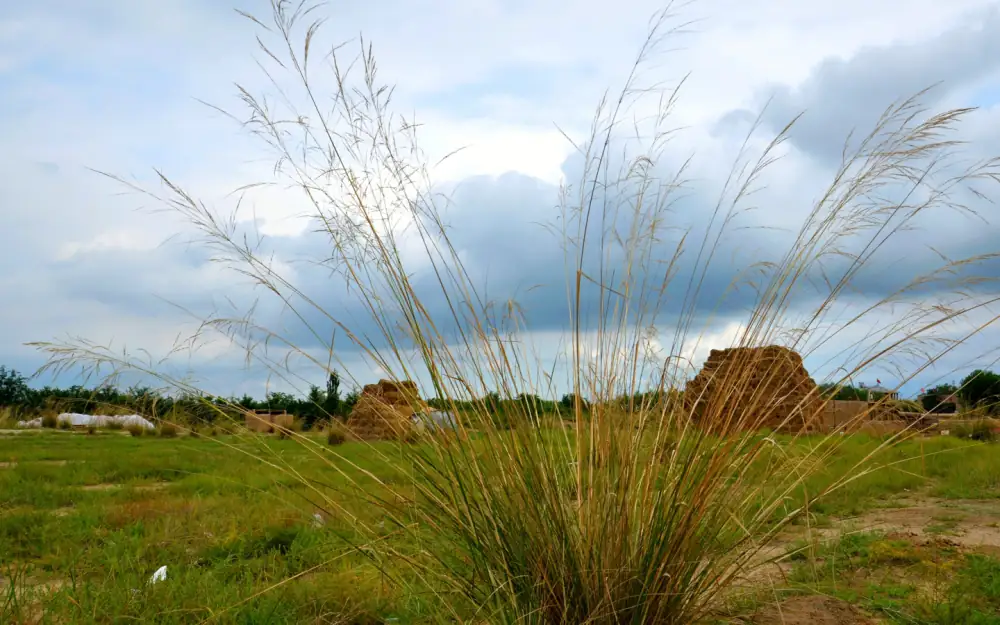 Zhenbeibaoyingshi City Scenery, Ningxia