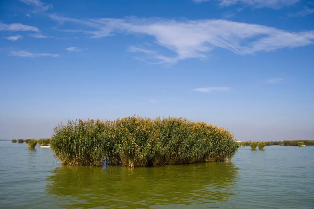 Sha Lake, Yinchuan