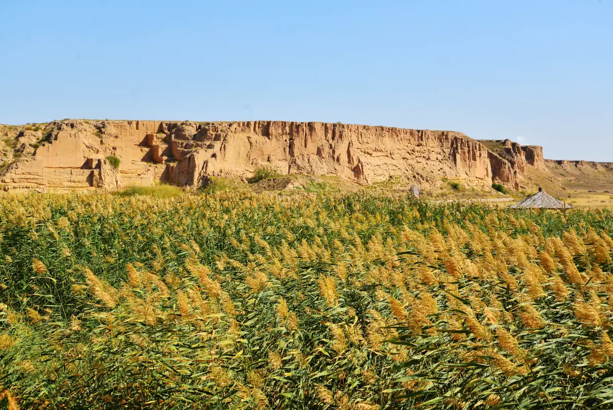 Zhongwei Shapotou Ningxia Guide 2026: Desert Meets Yellow River — Dunes, Rafting & Sandboarding