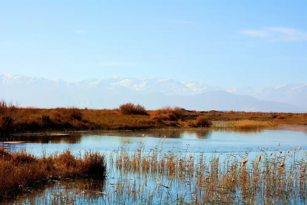 Geermuwuzi Lake Scenery, Qinghai