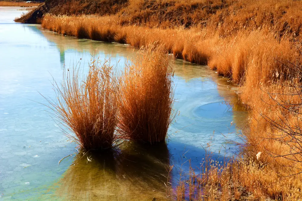 Geermuwuzi Lake Scenery, Qinghai