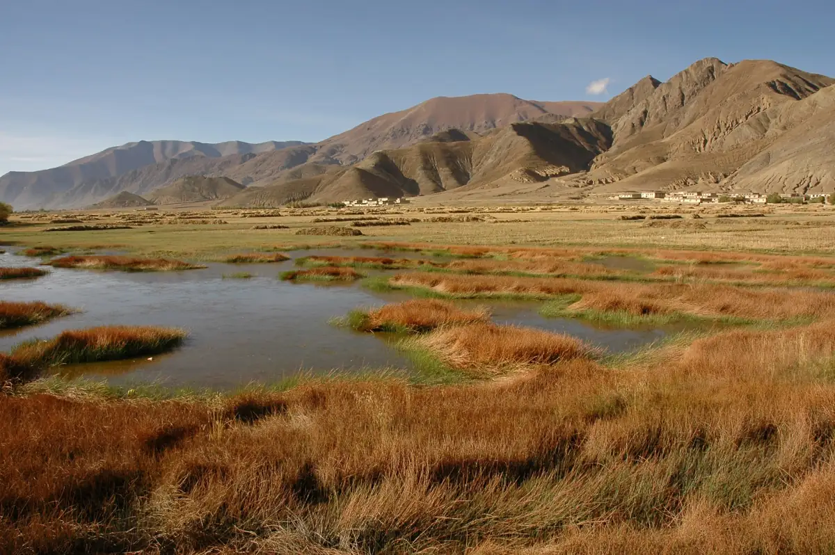 Yushu Qinghai Guide 2026: High Plateau Culture, Jyekundo Horse Festival & Tibetan Buddhism