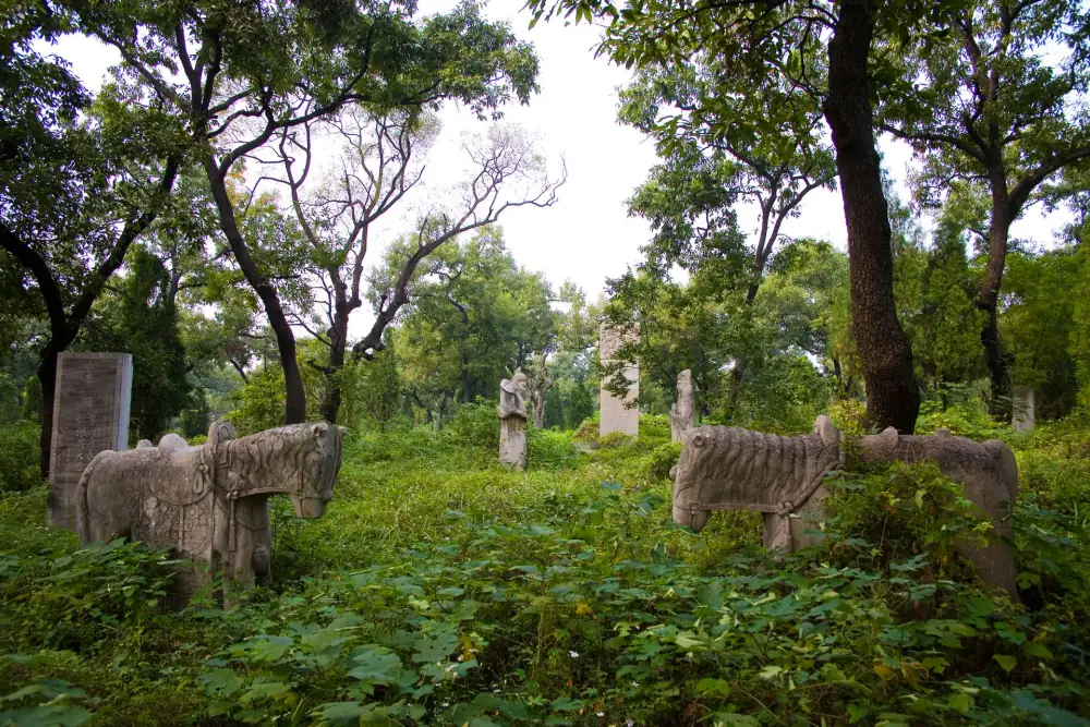 Konglin, Qufu