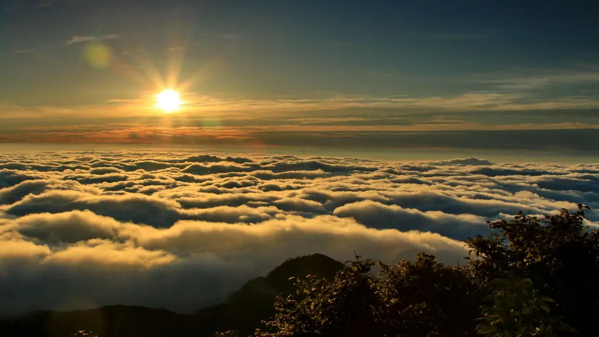 Sanqingshan (Jiangxi) Guide: Granite Peaks and Cliff Walkways