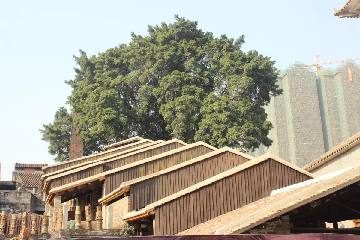 Walk Through History: Self-Guided Cultural Routes in Guangzhou and Guicheng
