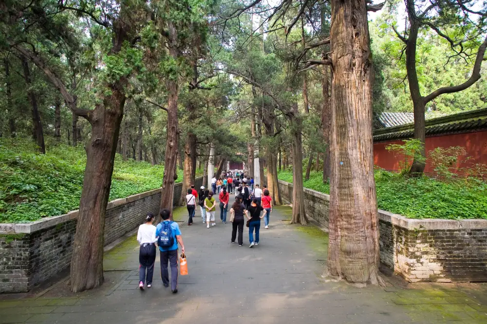 Konglin, Qufu