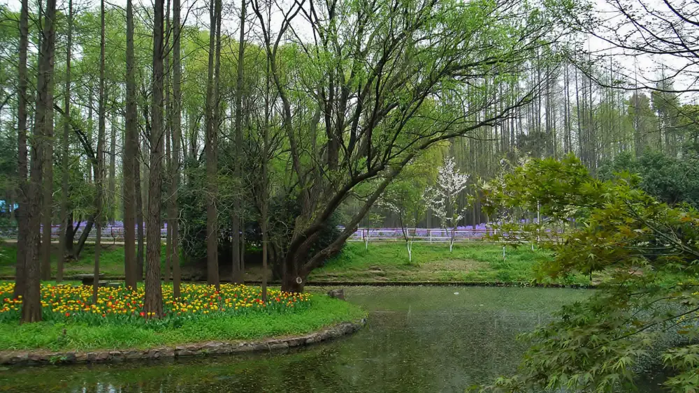 Gongqingsenlin Park Scenery, Shanghai