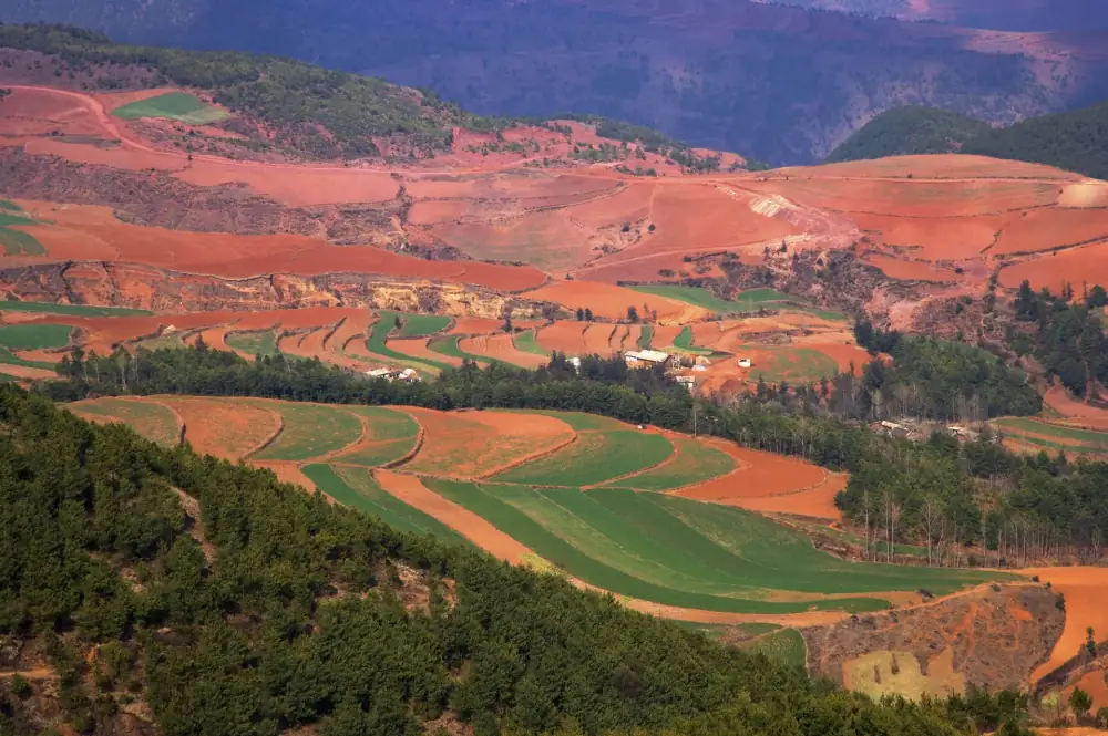 Dashanshenchu Red Soil Gengdi, Yunnan