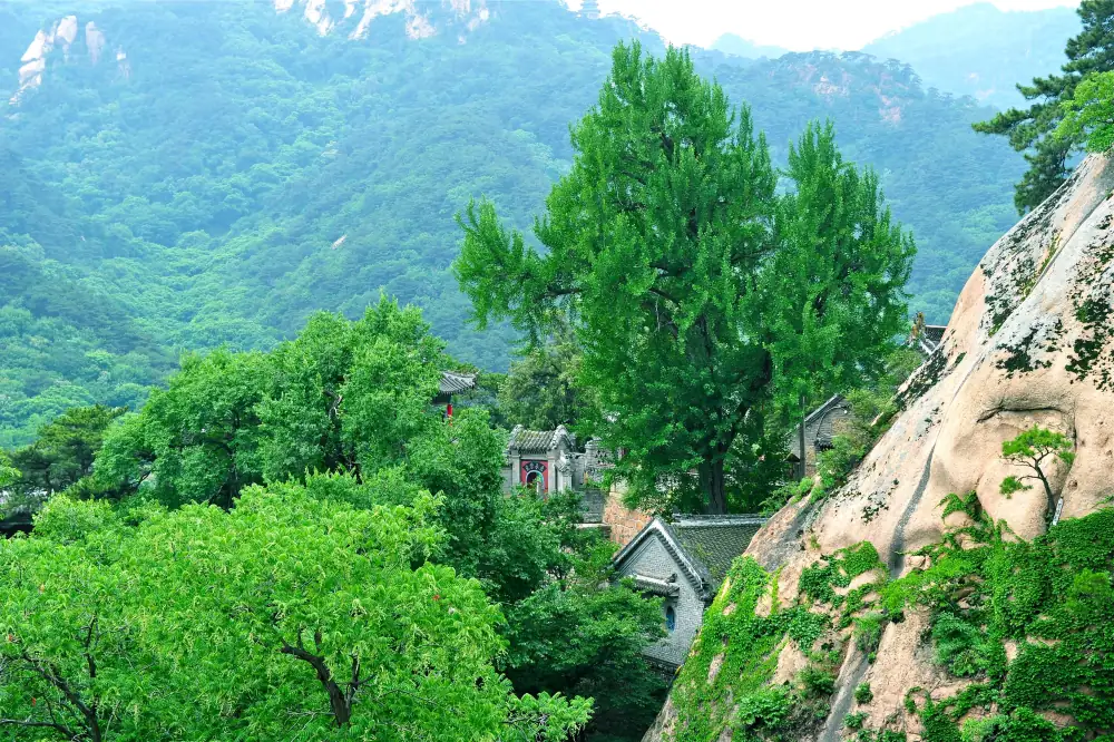 Qian Mountain Scenery, Liaoning