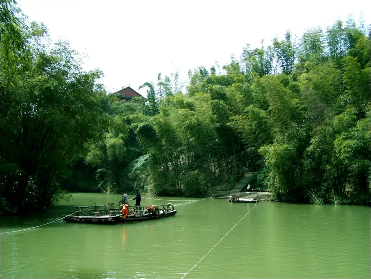 Shunan Bamboo Sea Guide: Sichuan's Green Plateau of Moso Groves
