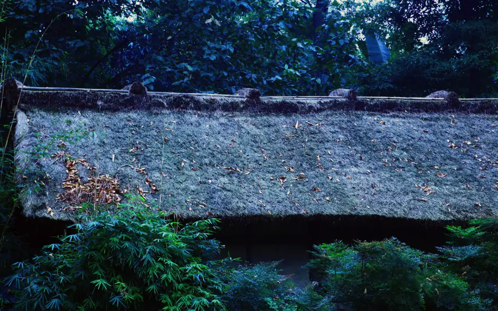 Tianfuguosheyinger, Sichuan, Chengdu