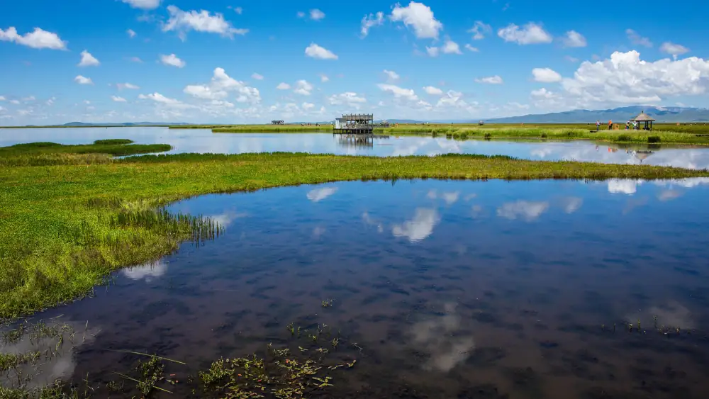 Ruoergaihua Lake Scenery, Sichuan