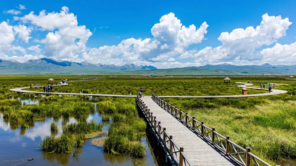 Ruoergaihua Lake Scenery, Sichuan