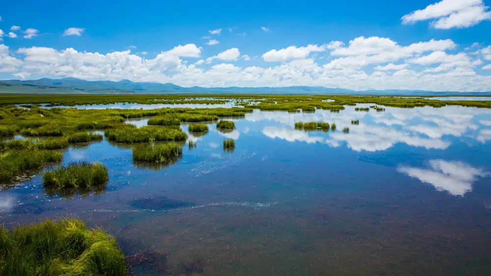 Ruoergaihua Lake Scenery, Sichuan