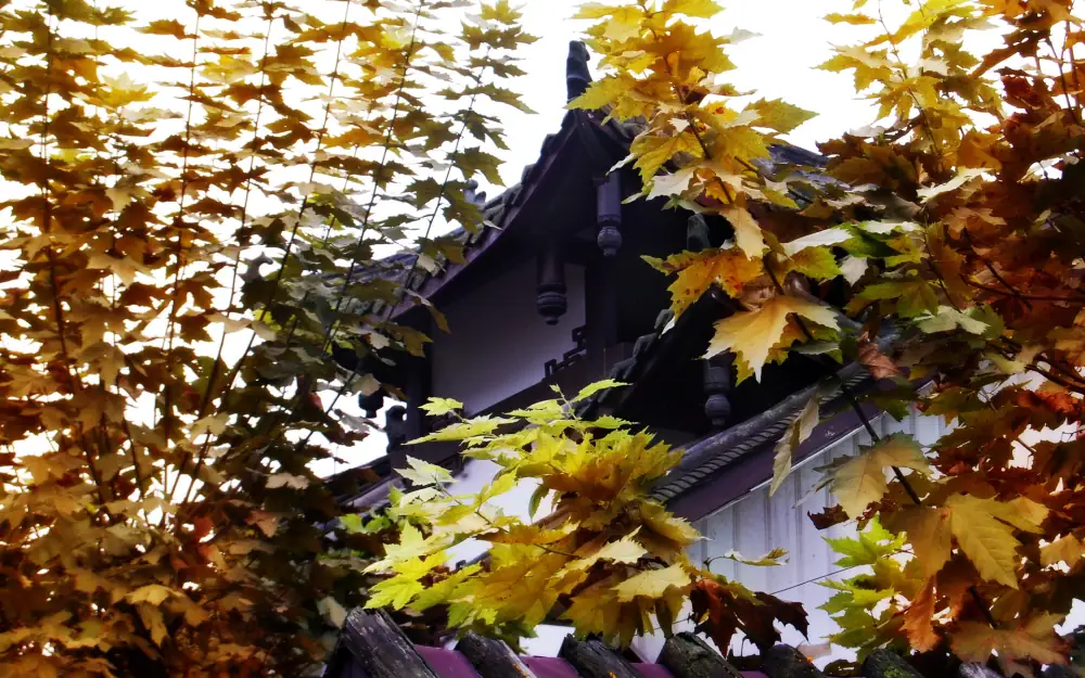 Pingle Old Town Scenery