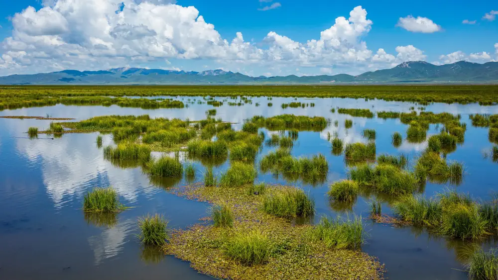 Ruoergaihua Lake Scenery, Sichuan