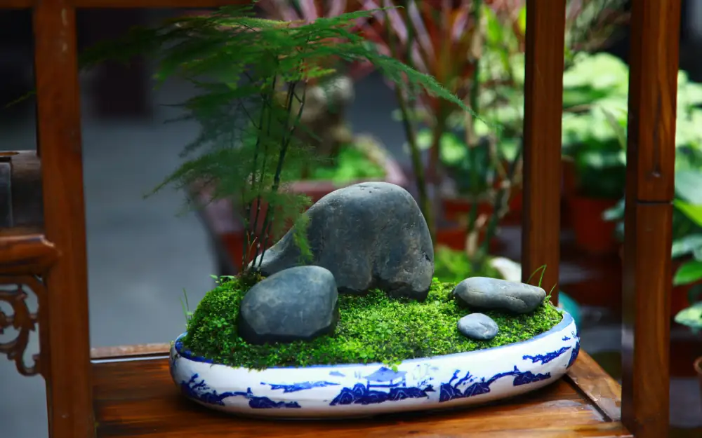 Tianfuguosheyinger, Sichuan, Chengdu