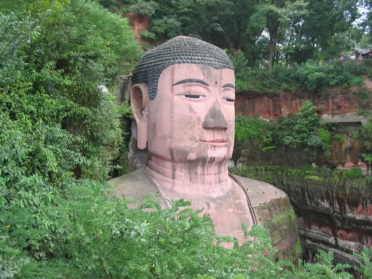 Ya'an Sichuan Guide 2026: Giant Panda Breeding Base, Rainforest & Tea Horse Road Heritage