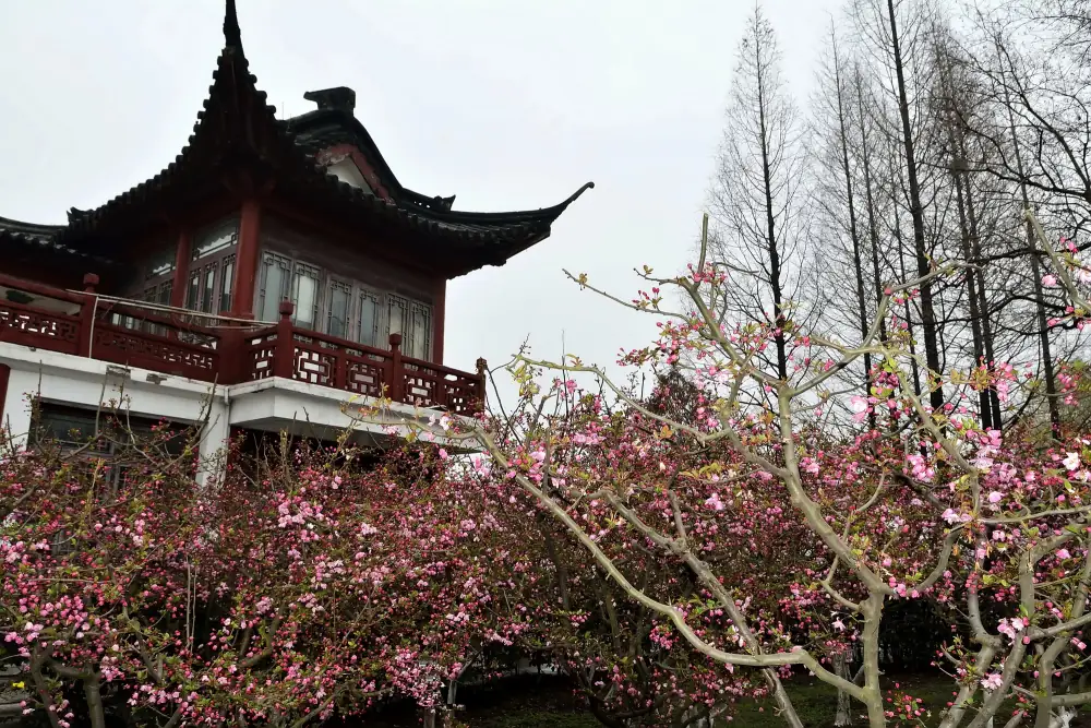 Mochou Lake Scenery, Nanjing