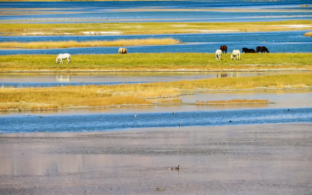 Spectacular Ali Scenery, Tibet