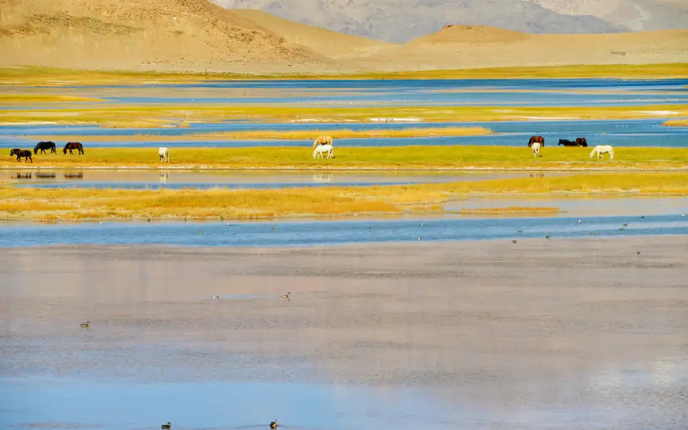 Spectacular Ali Scenery, Tibet