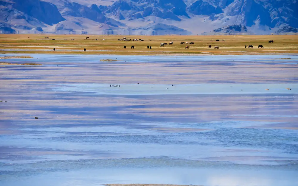 Spectacular Ali Scenery, Tibet