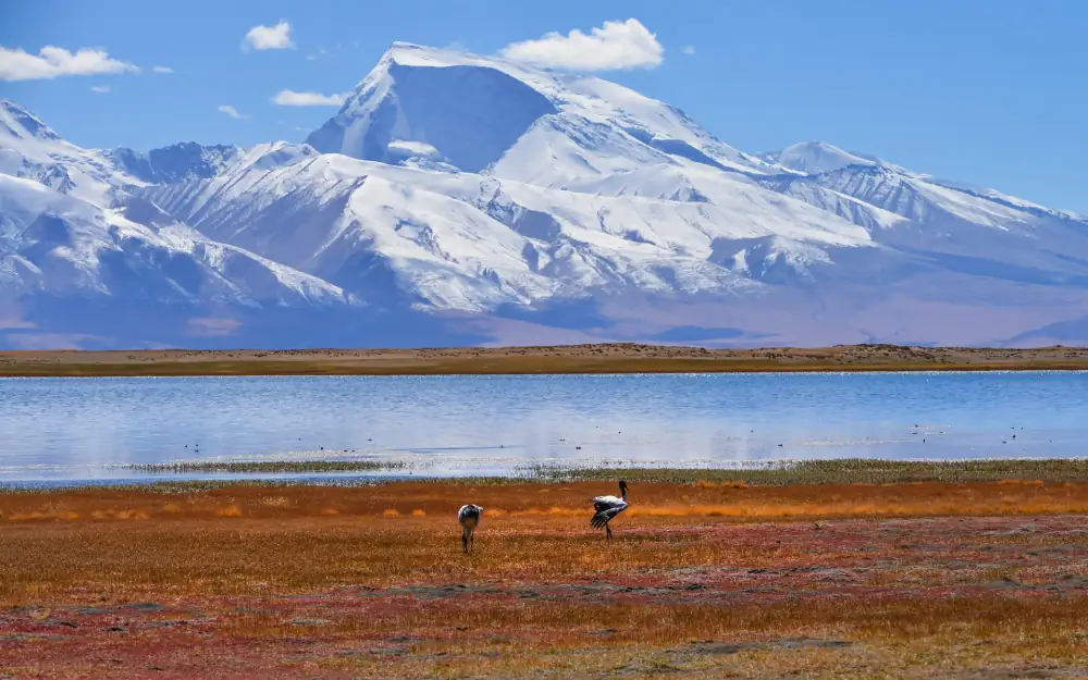 Spectacular Ali Scenery, Tibet