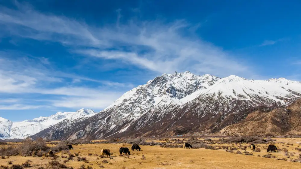 Ranwu Lake Landscape, Tibet