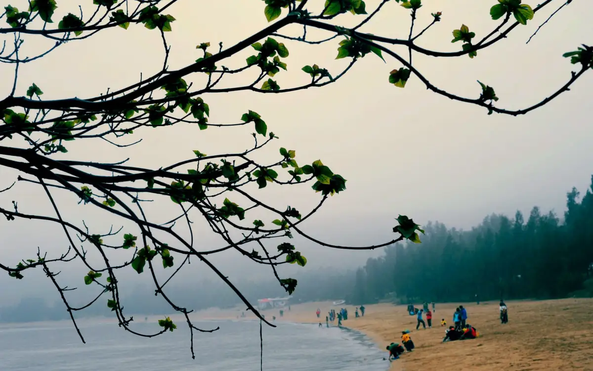 Zhejiang Coast Guide 2025: Wenzhou, Ningbo, Zhoushan Islands & Putuoshan