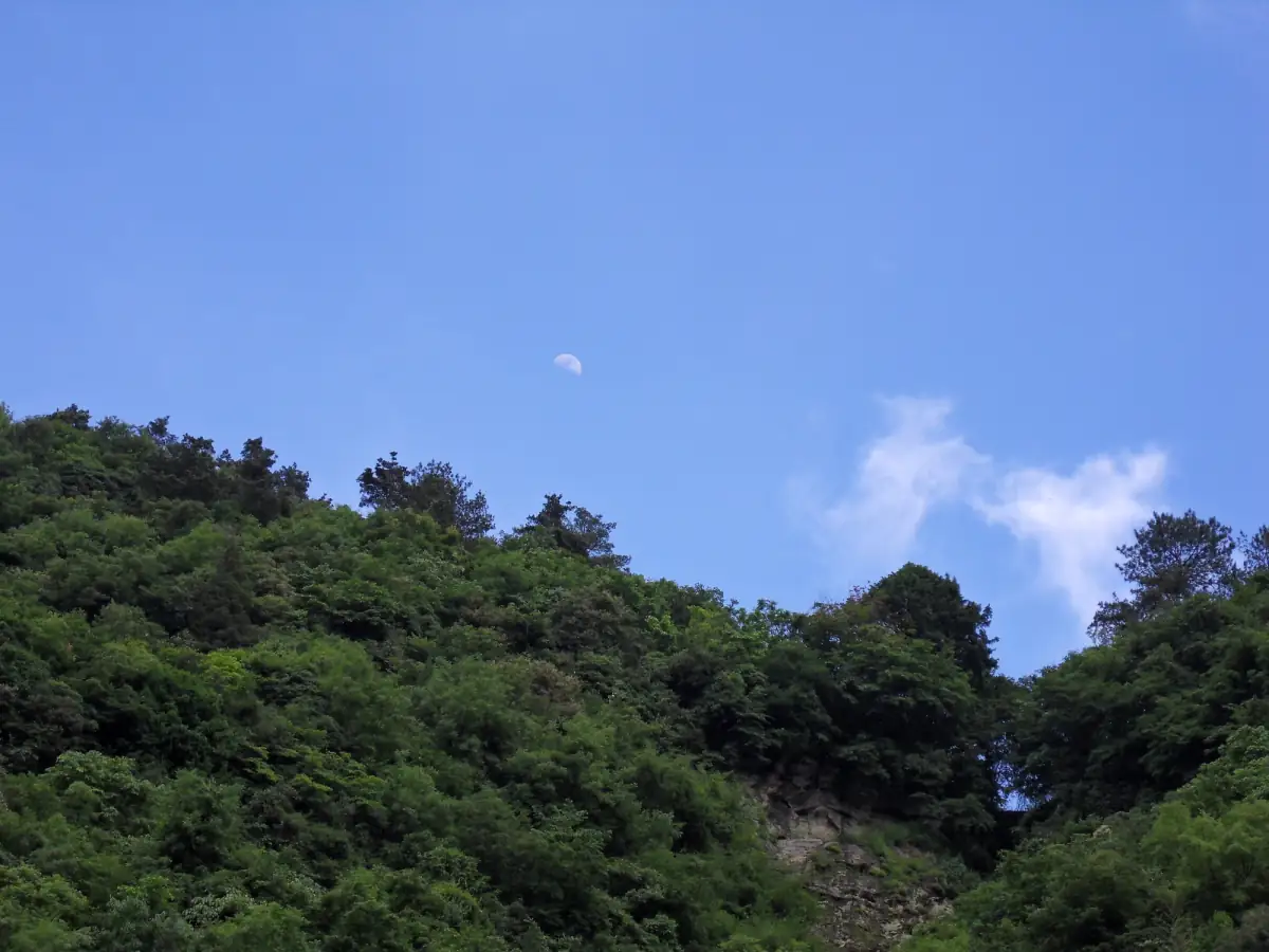 Wuhan & Wudang Mountain Guide 2025: Cherry Blossoms, Yellow Crane Tower & Taoist Sacred Peaks