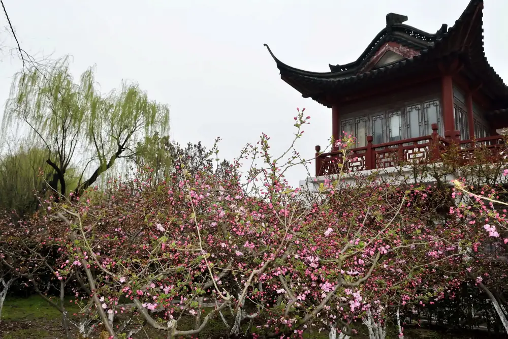 Mochou Lake Scenery, Nanjing