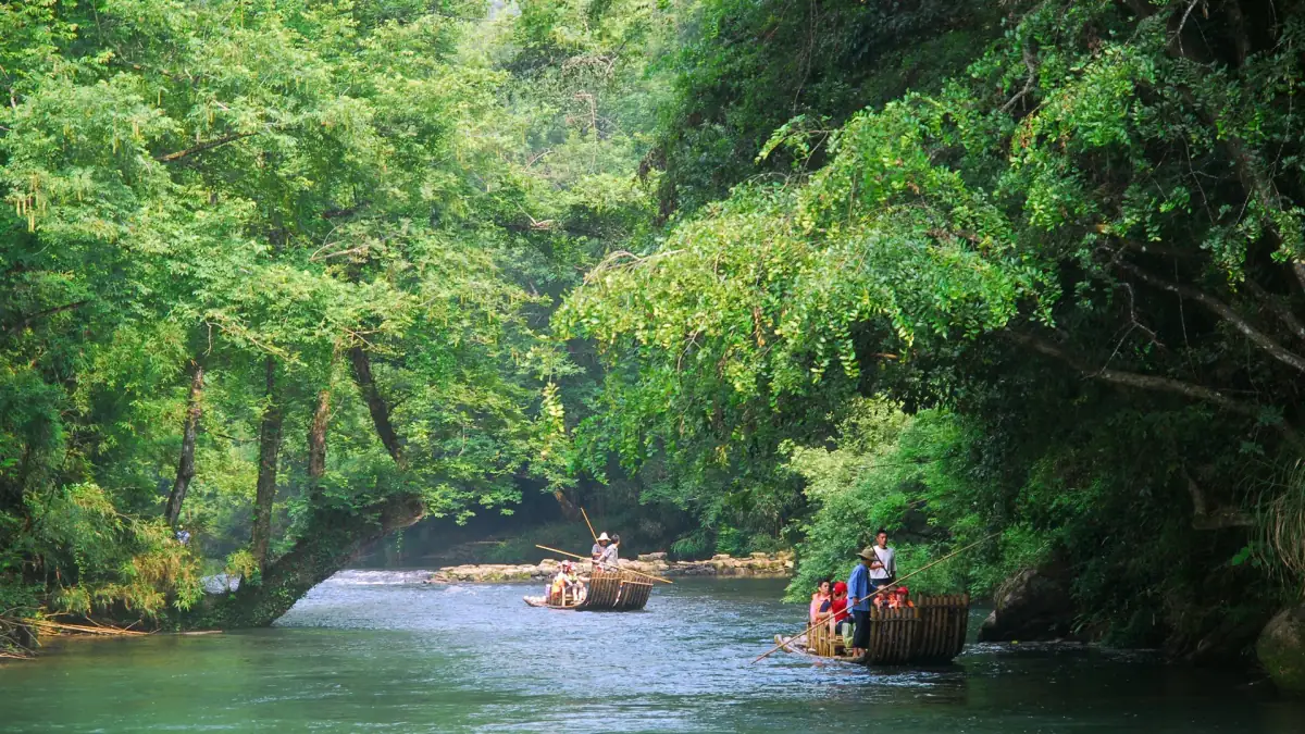 Wuyi Mountains: UNESCO Tea Landscape, Bamboo Rafting & Rock Oolong Guide