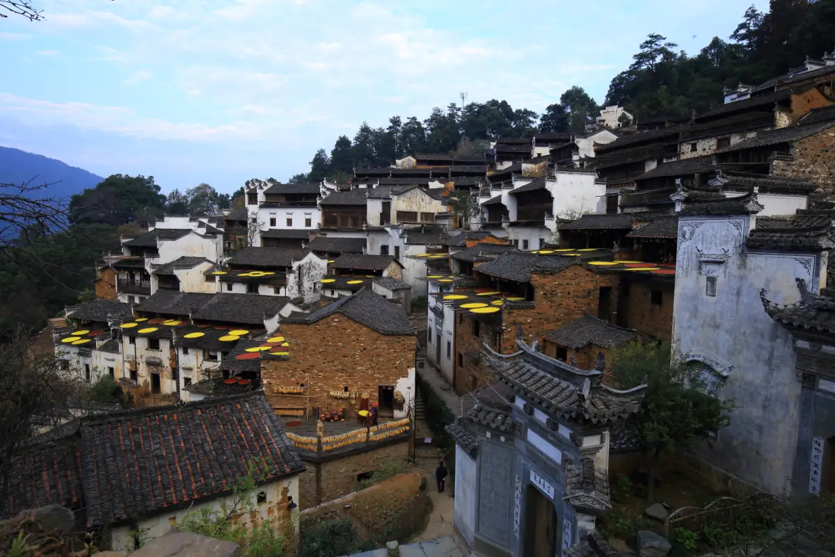 Wuyuan Travel Guide 2026: Jiangxi's White-Walled Villages & Rapeseed Flower Season