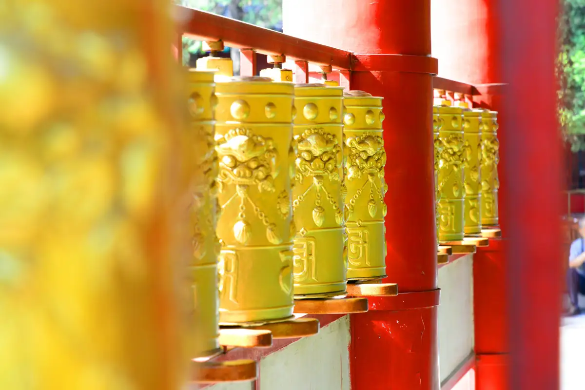Modern Xi'an Beyond the Terracotta Warriors: Street Art, Tang West Market & Nightlife