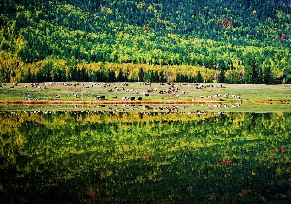 Beautiful Landscape, Xinjiang