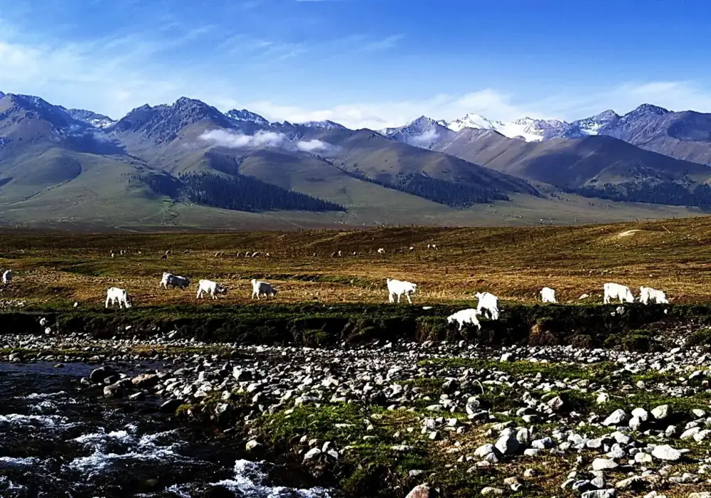 Beautiful Landscape, Xinjiang