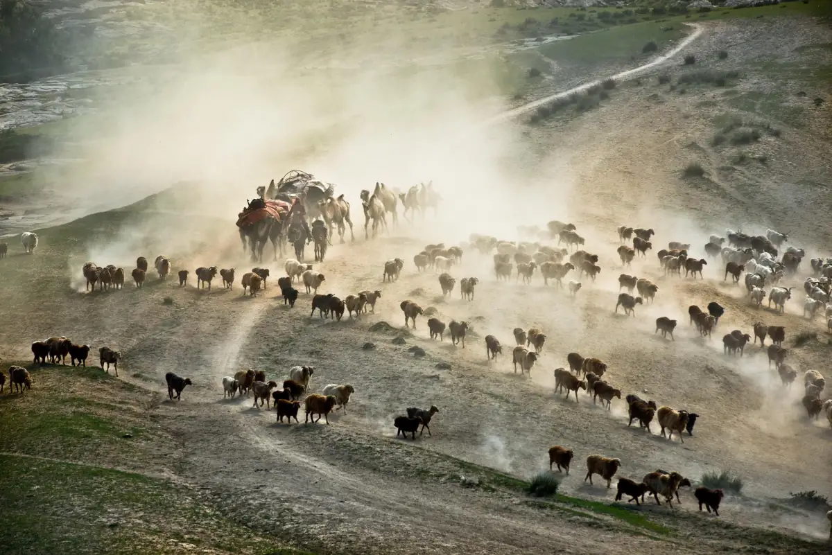 Taste of Xinjiang: Sweet Summer Fruits and Award-Winning Wines You Must Try