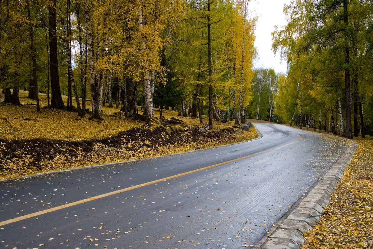 Xinjiang Travel Guide: Kanas Lake, Tianchi, Turpan Ruins & the Silk Road's Living Cities