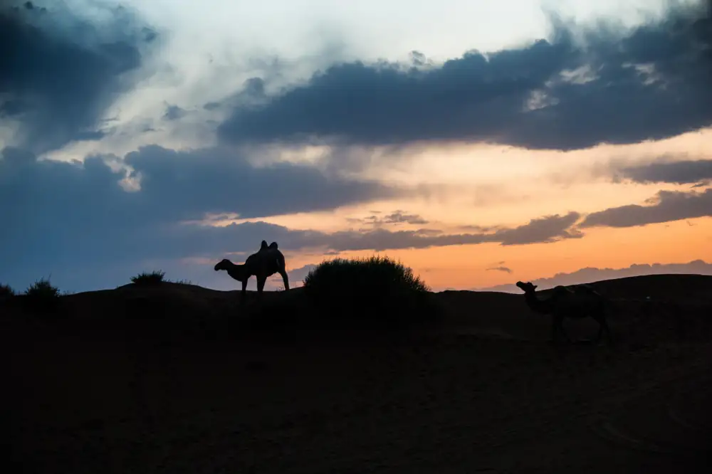 Kumutage Desert, Xinjiang