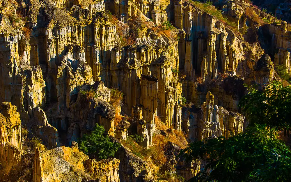 Wumao Earth Forest Scenery, Kunming