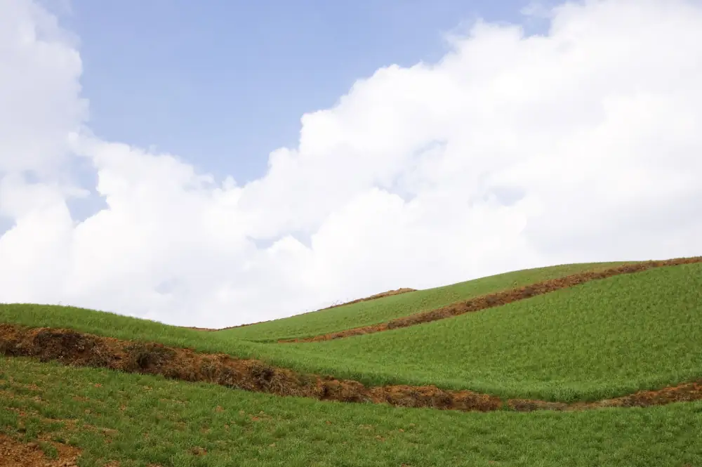 Dashanshenchu Red Soil Gengdi, Yunnan