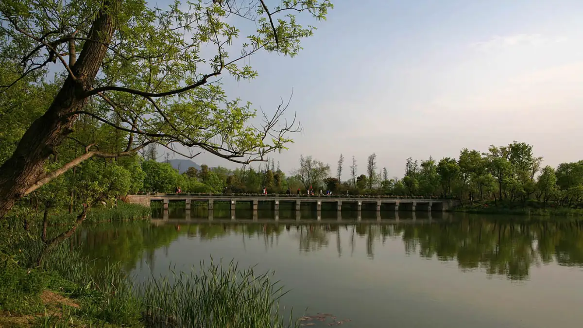 Xixi Wetland Guide: Hangzhou's Quiet Water Maze Beyond West Lake