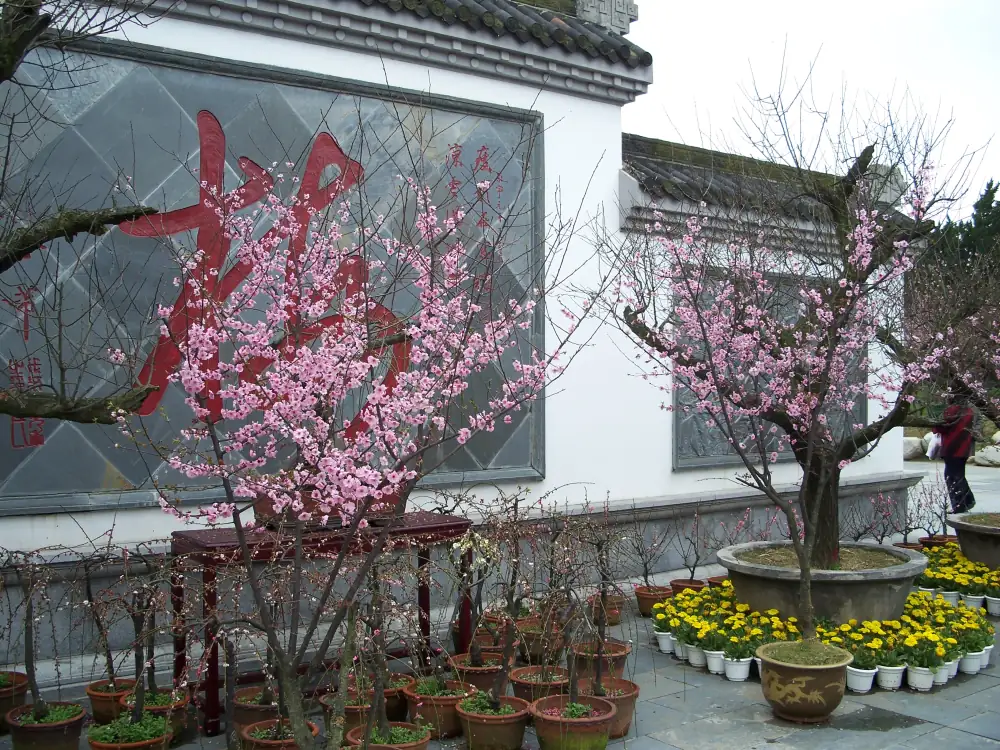 Dong Lake Scenery, Hubei, Wuhan
