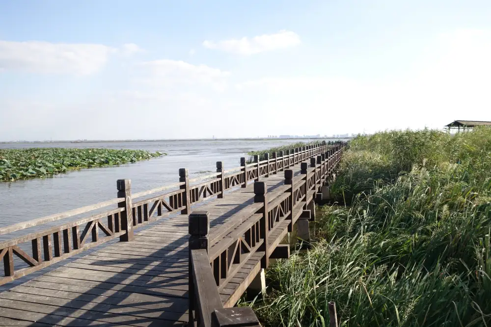 Yangcheng Lake Scenery, Jiangsu