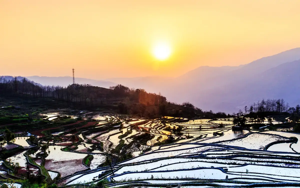 Yuanyang Rice Terraces Guide 2026: Yunnan's Most Spectacular Dawn Photography