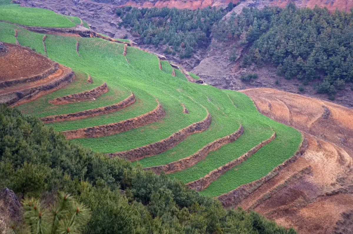 10 Days in Yunnan: Kunming, Lijiang, Dali, Xishuangbanna & Yuanyang