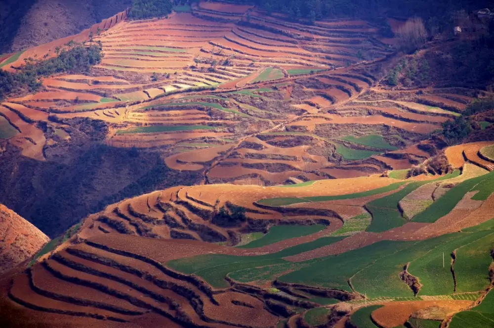 Dashanshenchu Red Soil Gengdi, Yunnan